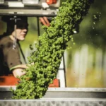 Weingut Familie Pagler