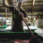 Weingut Familie Pagler