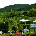 Haus Conny Plos – Wein & Kunst