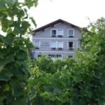 Soosser Winzerhof – Studeny