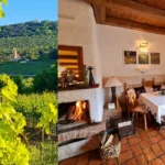 Haus Conny Plos – Wein & Kunst