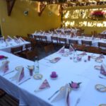Weingut Studeny