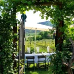 Haus Conny Plos – Wein & Kunst